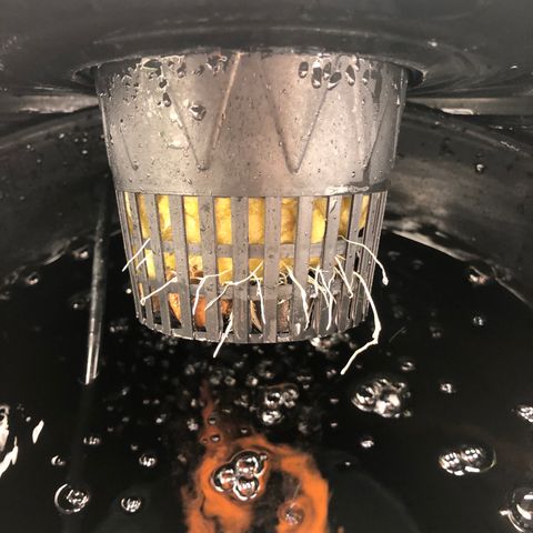 COP #1 growlog timeline photo