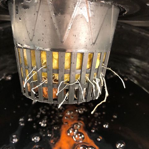 COP #1 growlog timeline photo