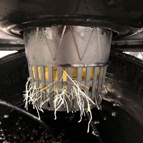 COP #1 growlog timeline photo