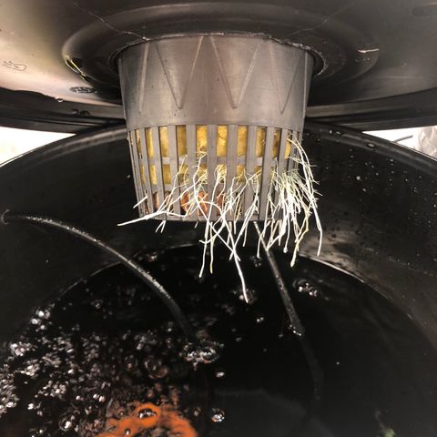 COP #1 growlog timeline photo