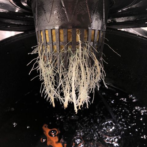 COP #1 growlog timeline photo