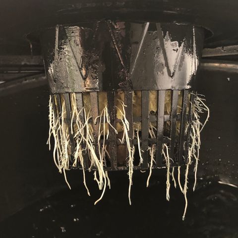 Cinderella Jack growlog timeline photo