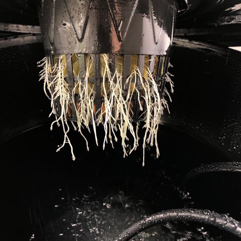 Cinderella Jack growlog timeline photo