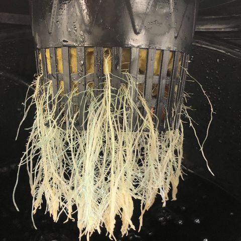 COP #1 growlog timeline photo