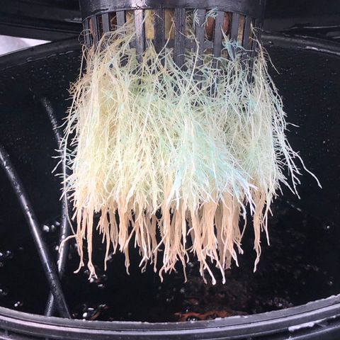 King’s Kush auto #1 growlog timeline photo