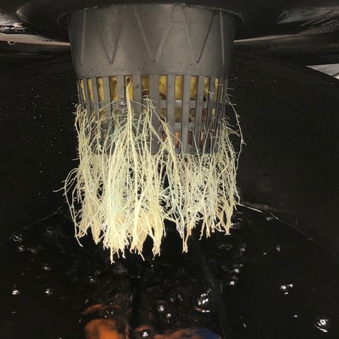 COP #1 growlog timeline photo