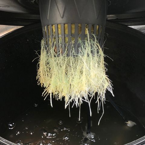 COP #1 growlog timeline photo