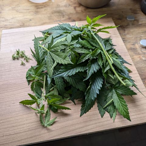 Corkscrew growlog timeline photo