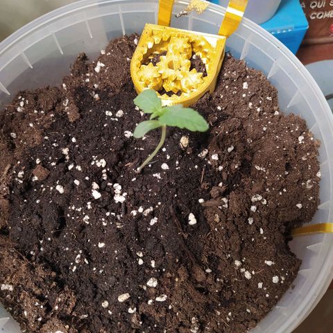 Quick One growlog timeline photo