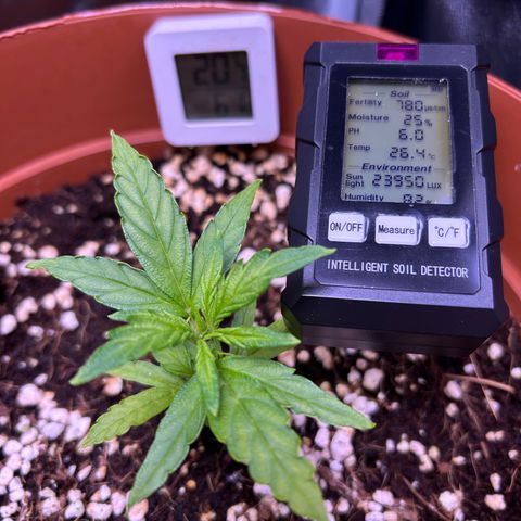 1.0 growlog timeline photo
