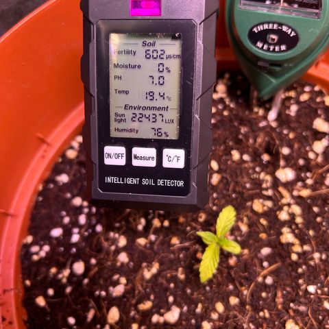 2.0 growlog timeline photo