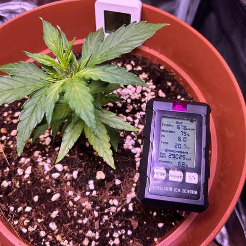 1.0 growlog timeline photo