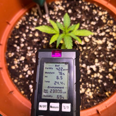 2.0 growlog timeline photo