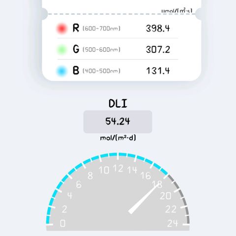 Margit growlog timeline photo