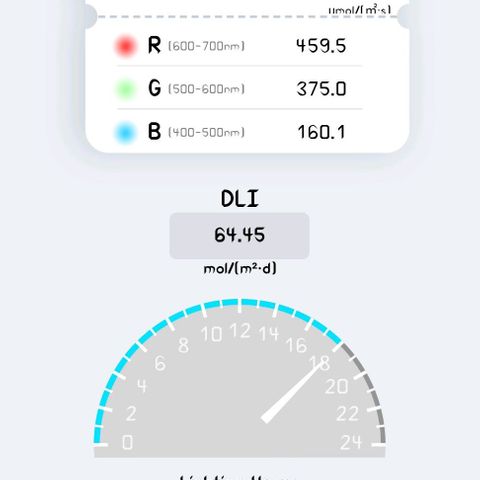 Margit growlog timeline photo