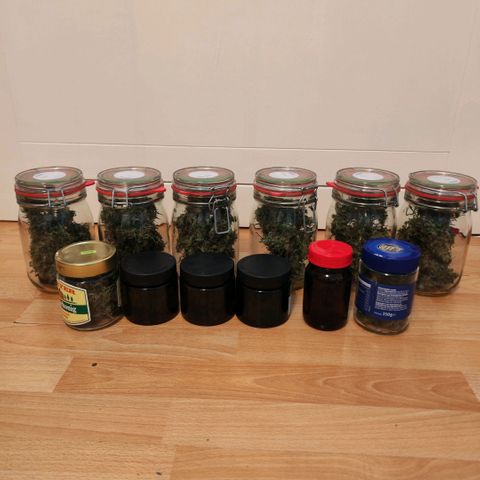 Bonnie growlog timeline photo