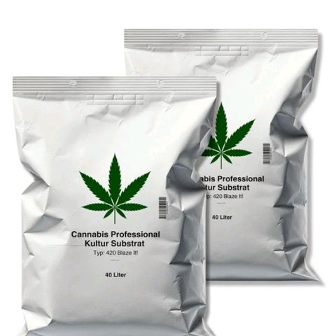 3x Apple Fritter Auto (RQS) growlog photo: Neues Bodensubstrat