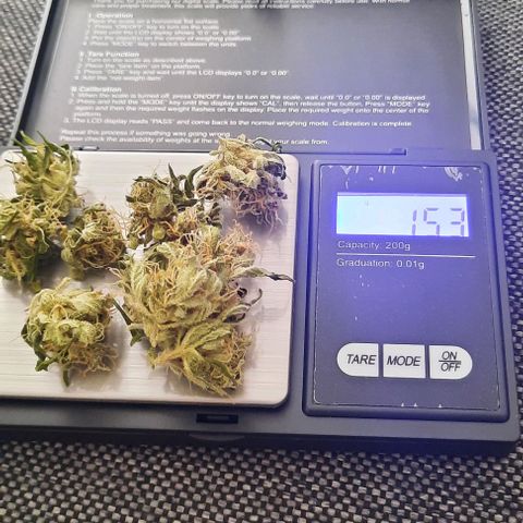 Michael & Jimmy - BCN Critical XXL growlog timeline photo