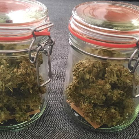 Michael & Jimmy - BCN Critical XXL growlog timeline photo