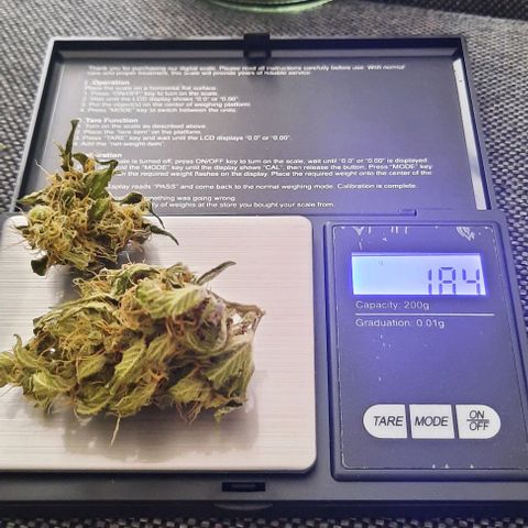 Michael & Jimmy - BCN Critical XXL growlog timeline photo
