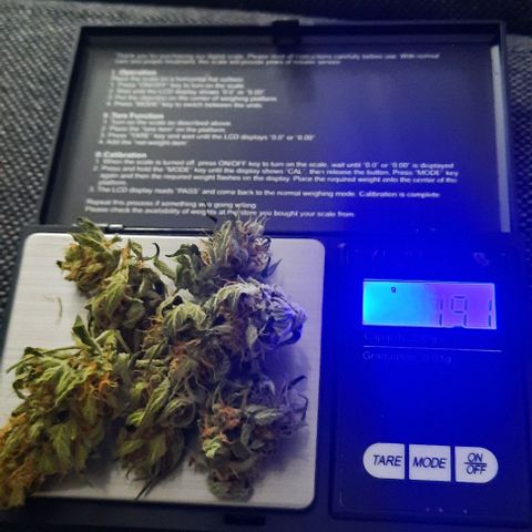 Michael & Jimmy - BCN Critical XXL growlog timeline photo