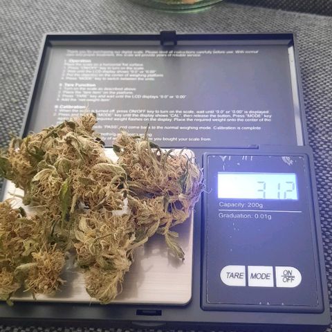 Michael & Jimmy - BCN Critical XXL growlog timeline photo