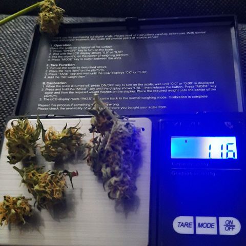 Michael & Jimmy - BCN Critical XXL growlog timeline photo