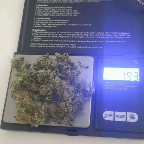 Michael & Jimmy - BCN Critical XXL growlog timeline photo