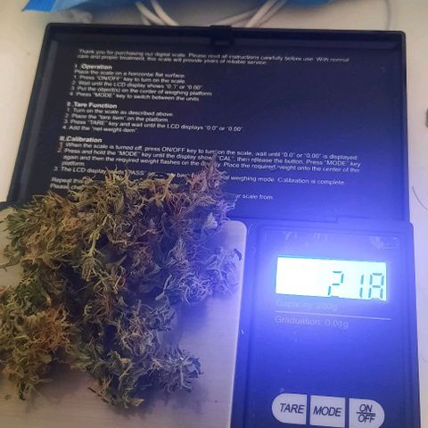 Michael & Jimmy - BCN Critical XXL growlog timeline photo