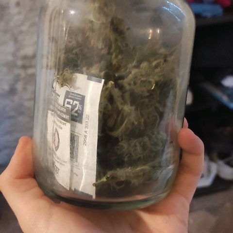 Fourty Seven growlog timeline photo