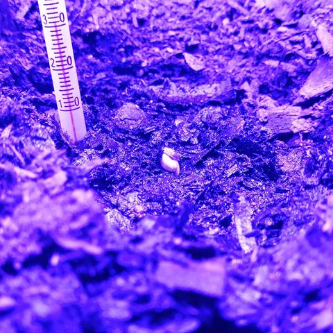 Pot B growlog timeline photo