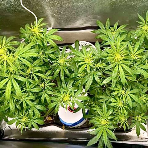Mary  growlog timeline photo
