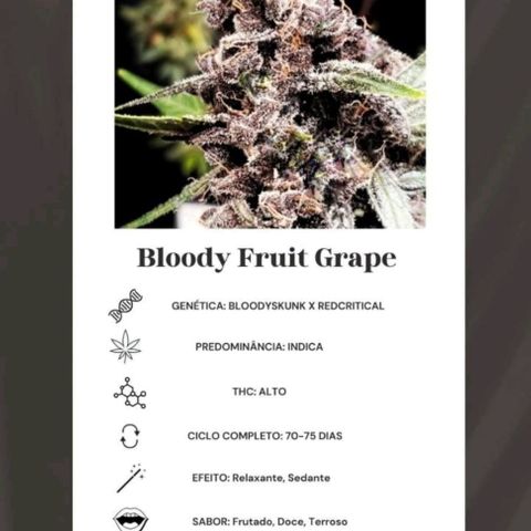 🟢 Auto Bloody fruit grape 🍇 growlog timeline photo