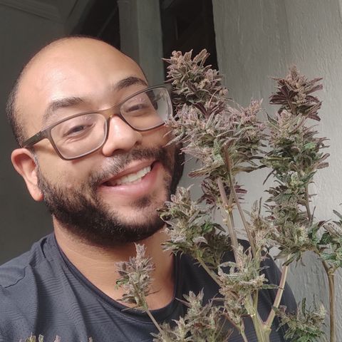 🔴 Auto Black Bird  growlog timeline photo