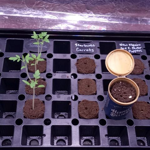 Unknown strain growlog timeline photo