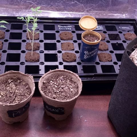 Unknown strain growlog timeline photo