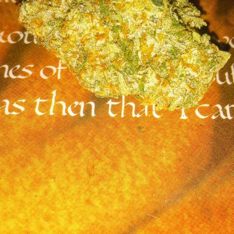 Cotton candy cane and G.R.E.A.M growlog timeline photo