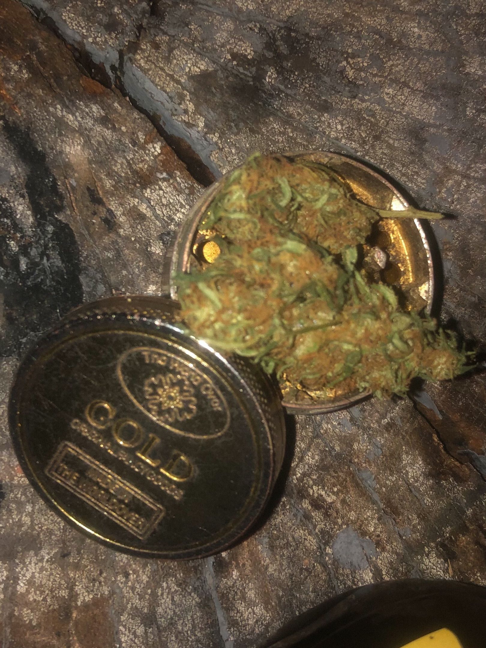 Akira growlog photo 76