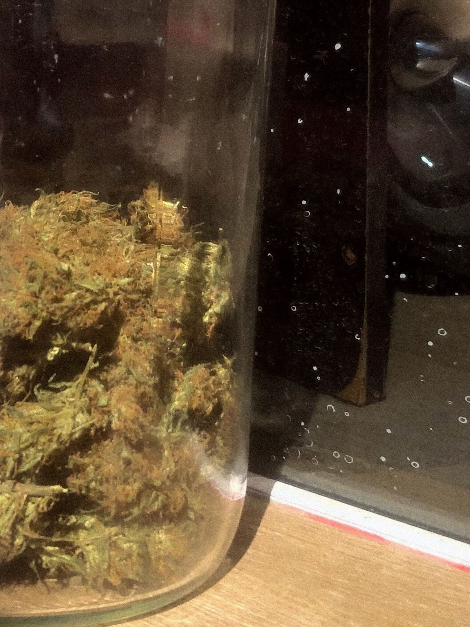 Akira growlog photo 77