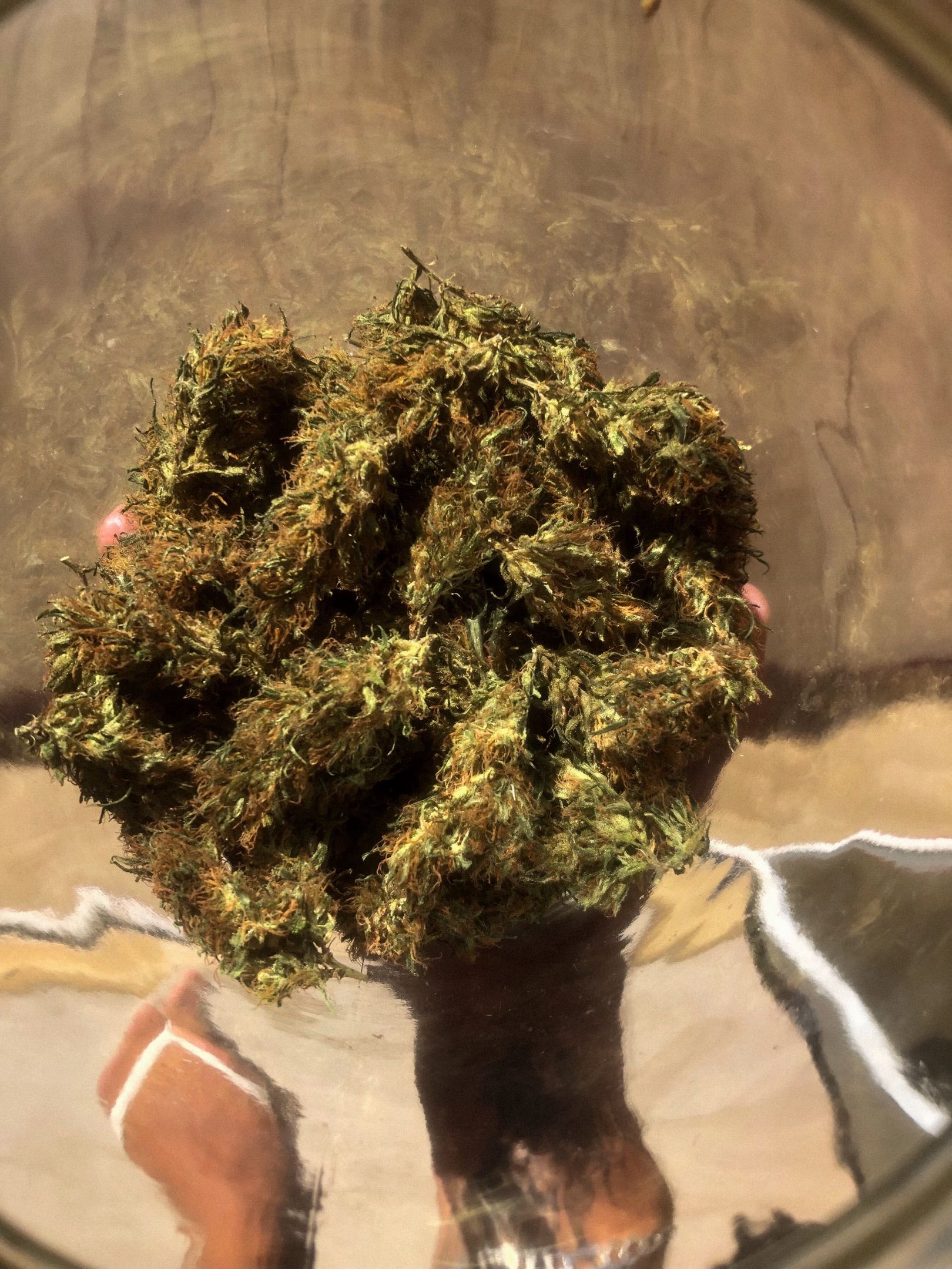 Akira growlog photo 78