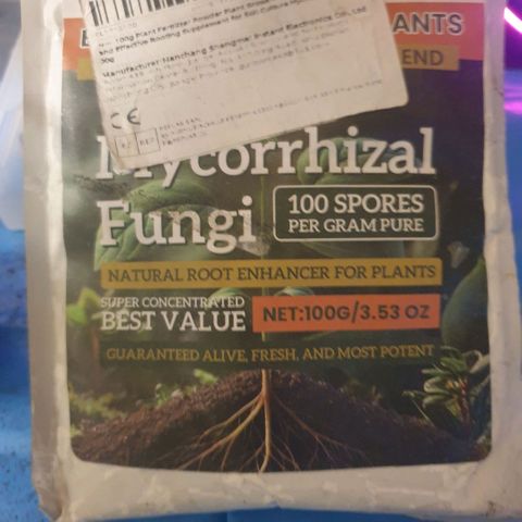 Picchu growlog photo: Con 1 cm de cola, pasamos la semilla a un vaso plástico de 250ml.
Agujereamos para el agua y
Añadimos bolitas de arcilla expandida o arlita, después usamos sustrato universal compacto, sin coco, sin vermiculita, a esa tierra le hice un hoyo de 1cm de profundidad, añadi una pizca de michorizas en polvo, tire otro poco de esporas sobre la semilla y la coloque cuidadosamente con pinzas plasticas, la tape con el mismo polvo de esporas que cayó alrededor del hoyo.
Tras esto, prepare una mezcla de agua de mineralizacion suave, ec  200 (agua grifo 30%+agua desionizada 70% ) añadi 2 gotas de agua oxigenada que son 100ppm, o peroxido de hidrógeno al 3%, y exactamente 0,2ml, unas 100ppm de deepunderground de topcrop.
Es lo único que puedo darles ahora, agua, michrorizas y un poco de estimulador de raíces.
Por lo demás, decir que elegi este sustrato apropósito, con la idea que de las primeras raíces nacerán más robustas al desarrollarse en un sustrato tan compacto.
Los próximos trasplantes serán sustratos normales con alto contenido en coco y vermiculita como siempre uso.
