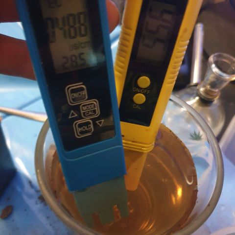 Picchu growlog photo: Con 1 cm de cola, pasamos la semilla a un vaso plástico de 250ml.
Agujereamos para el agua y
Añadimos bolitas de arcilla expandida o arlita, después usamos sustrato universal compacto, sin coco, sin vermiculita, a esa tierra le hice un hoyo de 1cm de profundidad, añadi una pizca de michorizas en polvo, tire otro poco de esporas sobre la semilla y la coloque cuidadosamente con pinzas plasticas, la tape con el mismo polvo de esporas que cayó alrededor del hoyo.
Tras esto, prepare una mezcla de agua de mineralizacion suave, ec  200 (agua grifo 30%+agua desionizada 70% ) añadi 2 gotas de agua oxigenada que son 100ppm, o peroxido de hidrógeno al 3%, y exactamente 0,2ml, unas 100ppm de deepunderground de topcrop.
Es lo único que puedo darles ahora, agua, michrorizas y un poco de estimulador de raíces.
Por lo demás, decir que elegi este sustrato apropósito, con la idea que de las primeras raíces nacerán más robustas al desarrollarse en un sustrato tan compacto.
Los próximos trasplantes serán sustratos normales con alto contenido en coco y vermiculita como siempre uso.