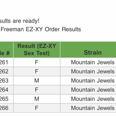 Mountain Jewels growlog photo: Got sex test results and luckily had 4 females out of the 6 seeds I popped, will be transplanting today