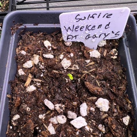 Weekend at Gary’s  growlog timeline photo