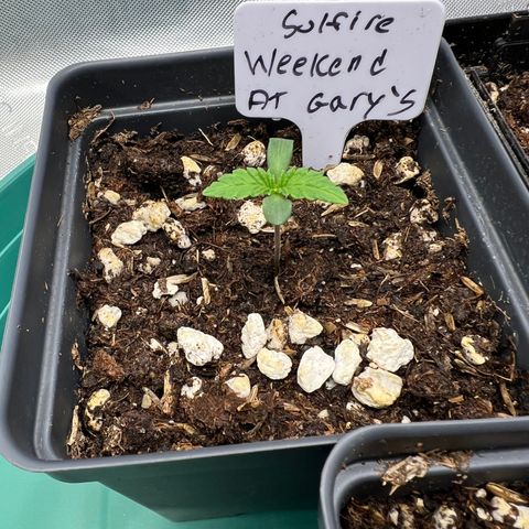 Weekend at Gary’s  growlog timeline photo