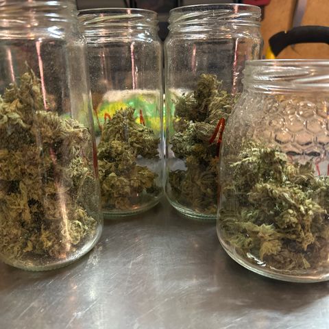 Northern Lights Auto 2 P growlog timeline photo