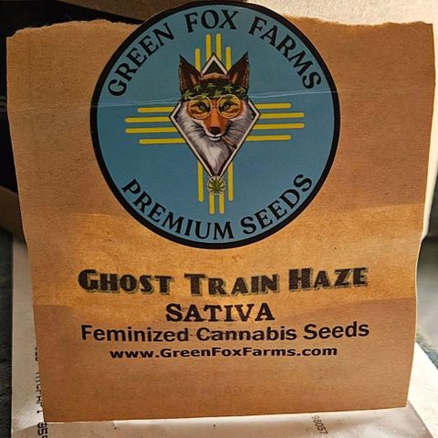 Ghost Train Haze growlog timeline photo
