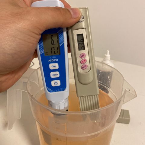 Mandarin Cookies R1 V2 #2 growlog timeline photo