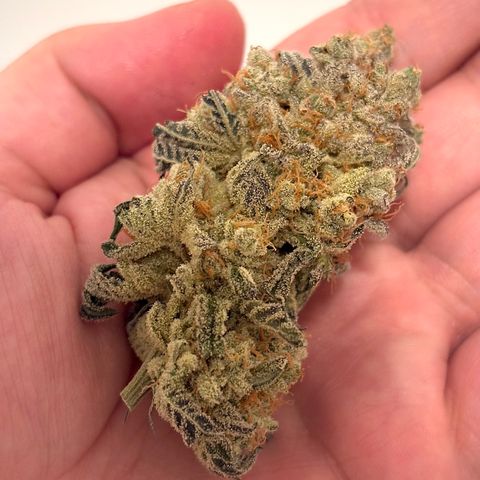 Mandarin Cookies R1 V2 #2 growlog timeline photo