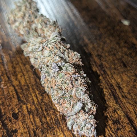 Purple Queen growlog photo: Made cannabis caviar
Royal Queen Seeds Purple Queen  for the nuggies

QWISO made from trim from Purple Queen,Sour Diesel, Northern Lights, Sangria Auto

Kief from same assorted strains